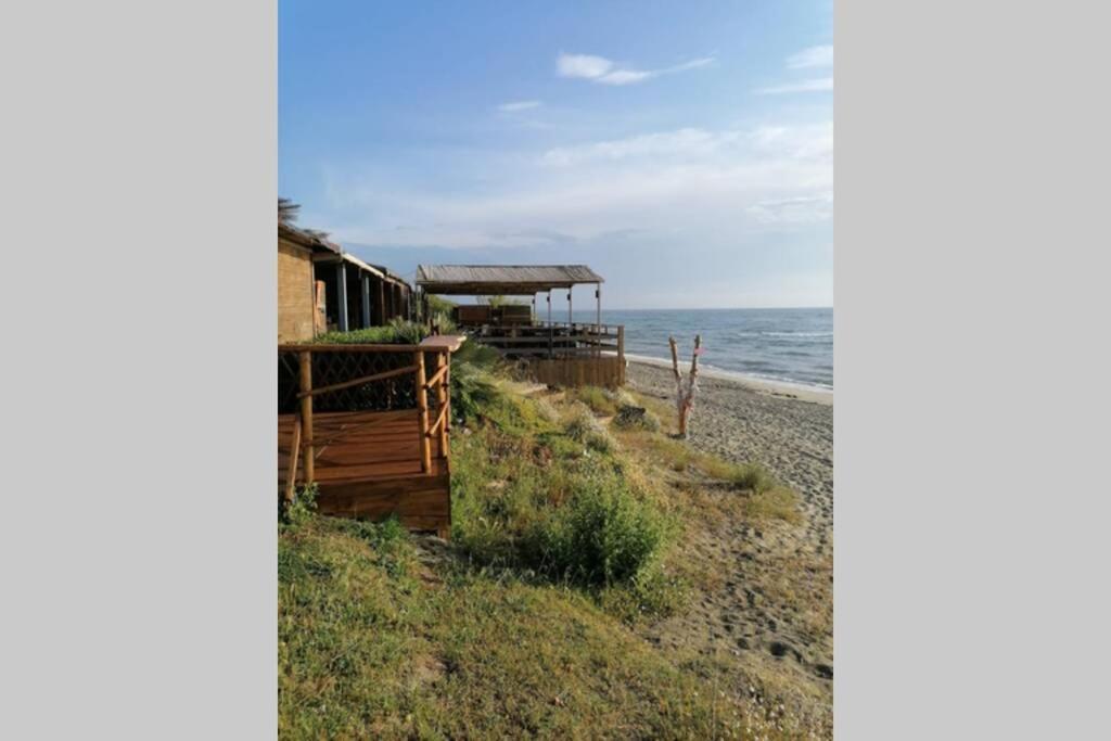 Studio 4 Personnes Bord De Mer Avec Piscine Wifi Cervione Eksteriør billede