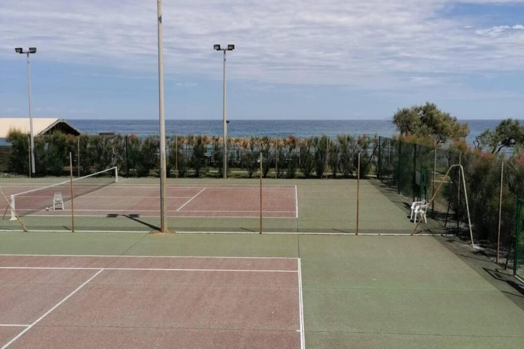 Studio 4 Personnes Bord De Mer Avec Piscine Wifi Cervione Eksteriør billede
