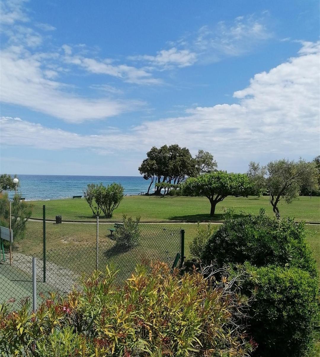 Studio 4 Personnes Bord De Mer Avec Piscine Wifi Cervione Eksteriør billede