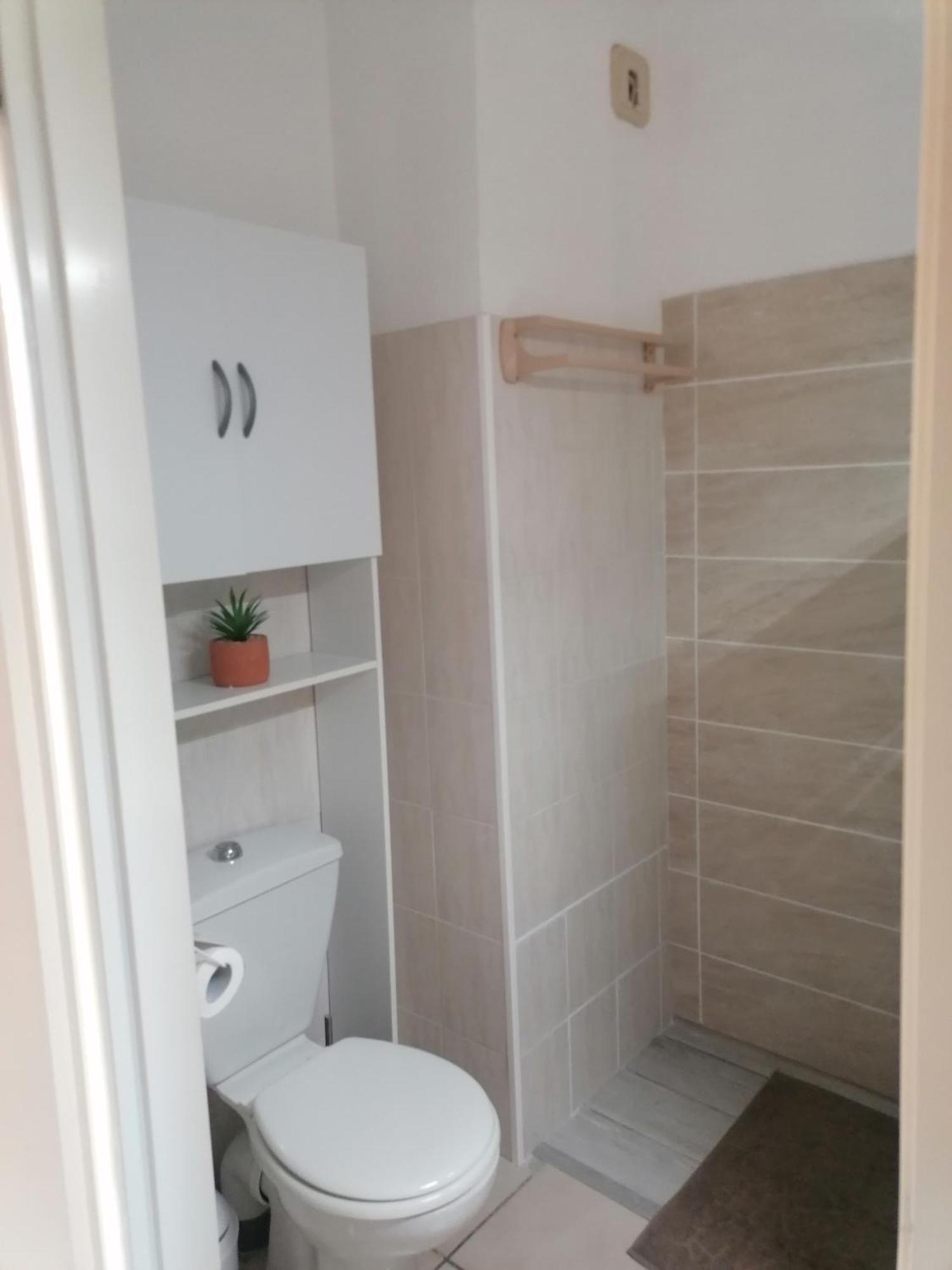 Studio 4 Personnes Bord De Mer Avec Piscine Wifi Cervione Eksteriør billede